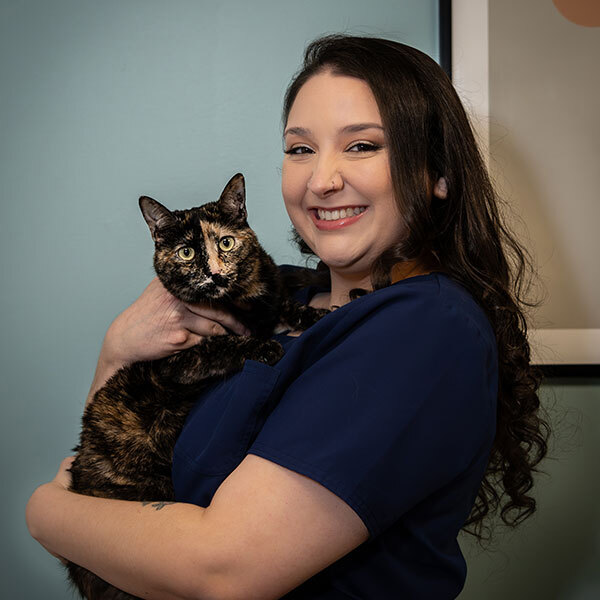 A woman with long dark hair wearing a navy blue shirt smiles while holding a tortoiseshell cat against a teal wall with part of a framed picture visible in the background. A woman with long dark hair wearing a navy blue shirt smiles while holding a tortoiseshell cat against a teal wall with part of a framed picture visible in the background.